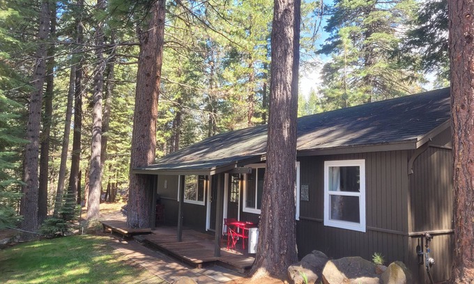 Peninsula Village Cabin | ONE BEDROOM/ONE BATH ON BIG COVE!