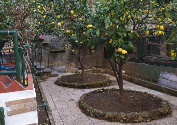Pegli Apartment | oparavisegenova