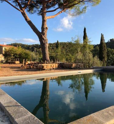Suvereto House | Operaviva
