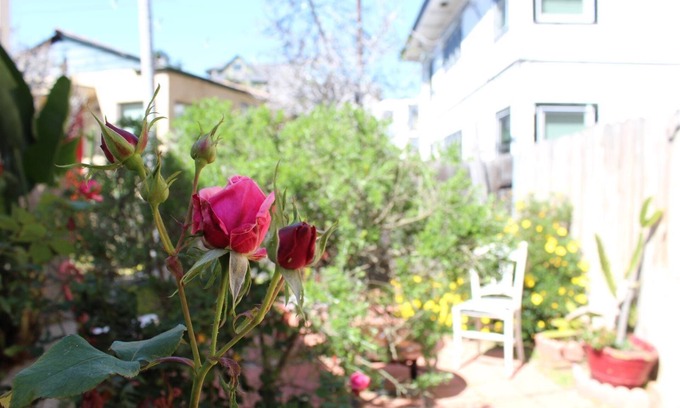 Bankers Hill Condo | Orange Tree Cottages Downtown