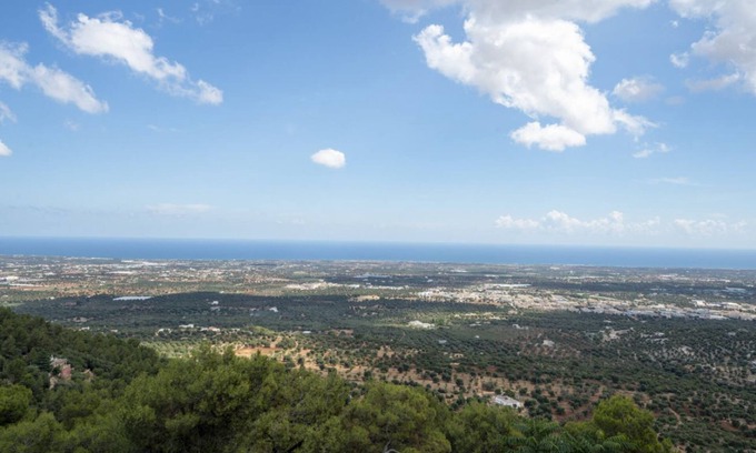 Selva di Fasano Apartment | Ortensia House: tranquility and sea views in Selva di Fasano