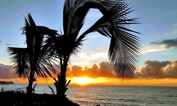 Kehena Apartment | Pahoa Tropical Garden Getaway