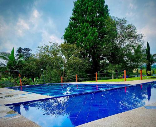 Filandia Hotel | Paisaje Cafetero Hotel Con Piscina y desayuno - Filandia