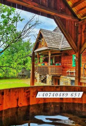 Viseu de Sus House | Pajisti Verzi/Green Meadows Guest House