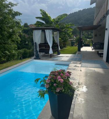 Saarburg Apartment | Palmen Oase, Relax & Wellness Saarburg