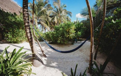 Zona Hotelera House | Palms house