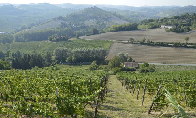 Alba Bed & Breakfast | PANORAMIC VIEW, RELAXING, BIKE, FINE-FOOD, WINE AND MORE. Bed & Breakfast in Alba