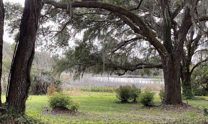 Lady Lake House | Paradise @ Lady Lake Minutes from the Villages, Ocala Forest, & Florida Springs.