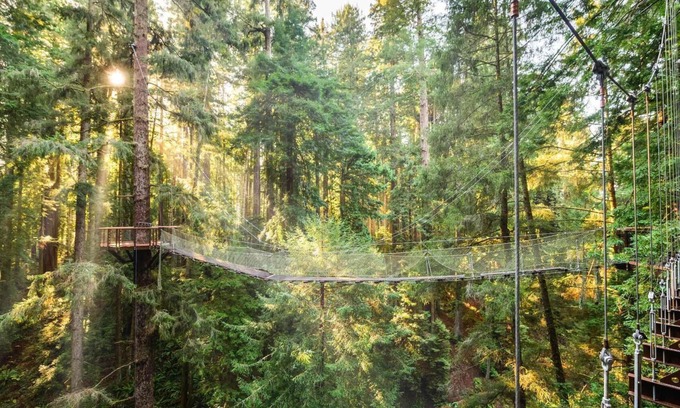 Eureka House | "Park Place" @ #RedwoodSkyWalk & Sequoia Park Zoo: 5BD*, Pool Table, Game Room, Kiva, Gas Grill!