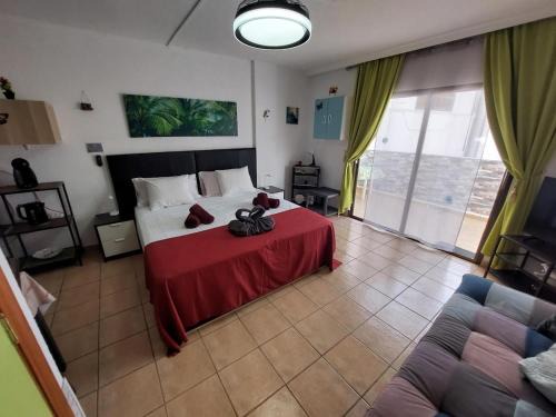 El Madronal Apartment | Parque Cattleya 101 cozy studio in the center