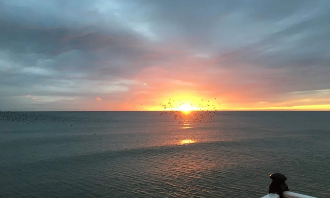 Hove House | Pass the Keys | Family holiday home by the sea with free parking