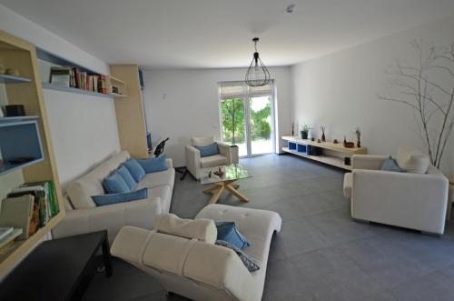 Vitosha District Apartment | Passion Garden