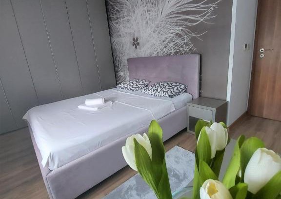 Dumbravita Apartment | Paula Apartment