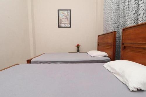 Harispattuwa Hotel | Pawra wood in