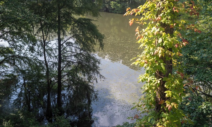 Santee Condo | Peaceful Condo on Lake Marion in Santee, SC. Time to play golf and go fishing!