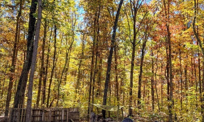 Lupton City House | Peaceful Hilltop Cabin.L, backs up to Prentice Cooper within min. from downtown