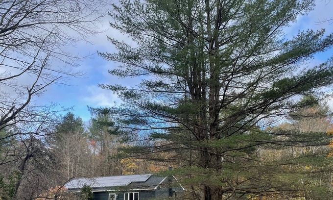 Peru House | Peaceful modern retreat with woods and fire-pit 🌲 🌲 Family friendly 🌲 🌲