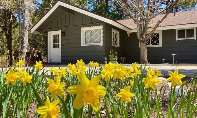 Upper Moonridge House | Peaceful Pines Panorama - Game Room, Air Hockey, Ping Pong, Fireplace