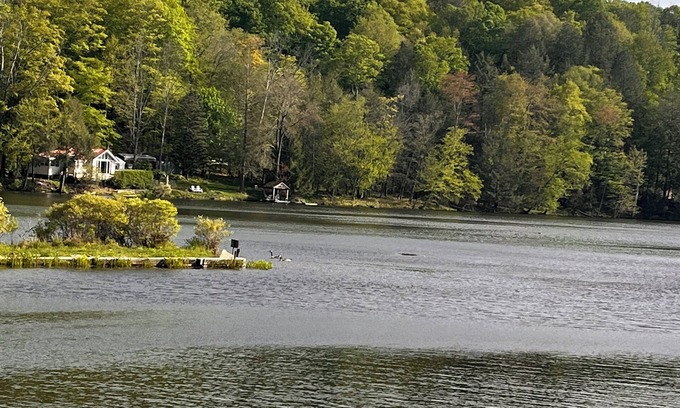 Susquehanna Cottage | Peaceful place to relax with family.No outdoor music allowed.