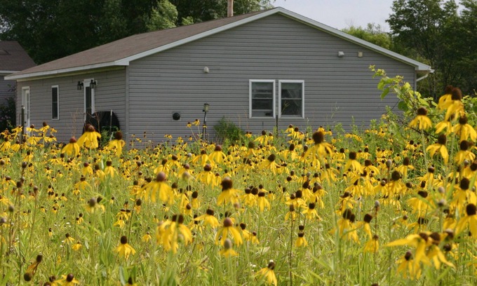 Murrayville Apartment | Peaceful studio retreat surrounded by prairie, wildlife, and open skies.