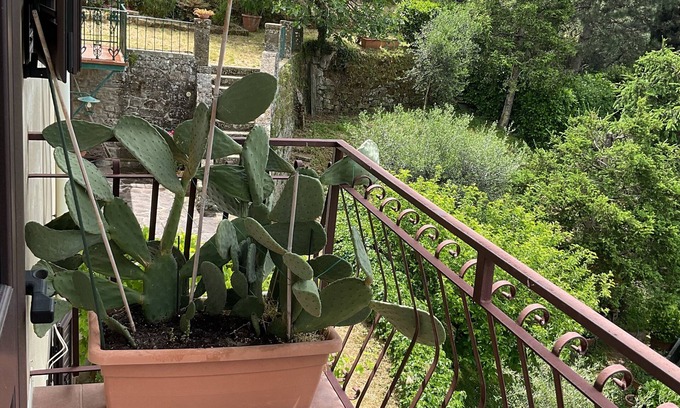 Pelago Apartment | Pelago Country House