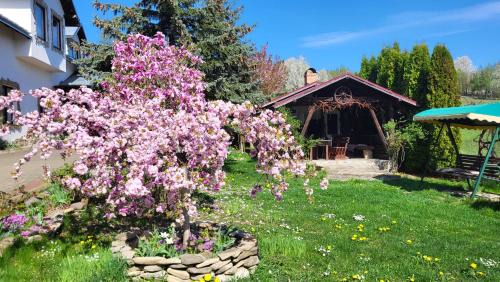 Gura Humorului House | Pension Anastasia