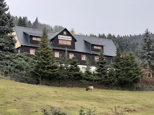 Saupsdorf House | Pension Gaststätte Tannenhof