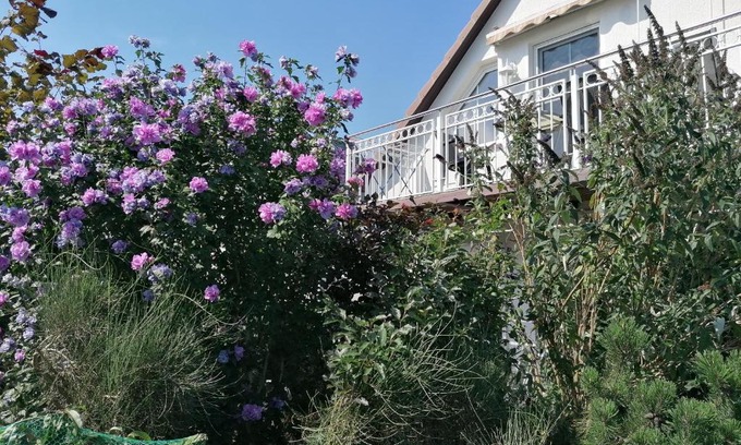 Ueckeritz Apartment | Pension Haus Anneliese
