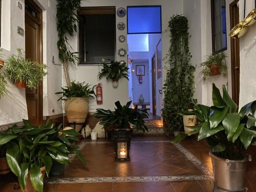 Santa Cruz House | Pension San Pancracio