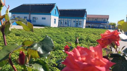 C.A. Rosetti House | Pensiune Agroturistica CASA LETEA