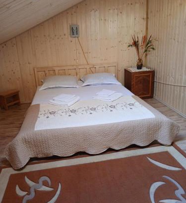 Prahova County House | Pensiune Colina Farm