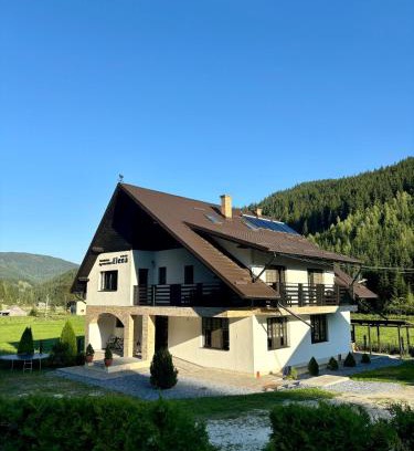 Panaci Ski Chalet | Pensiunea agroturistica Elena
