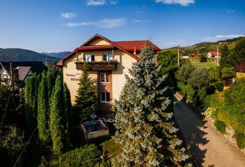 Gura Humorului House | Pensiunea Bucovina