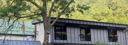 Baile Herculane House | Pensiunea Casa Dimitrios-Baile Herculane -Casă Boemă cu vedere la munte apă atmosferă intimă