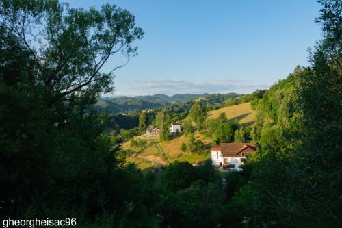 Moieciu House | Pensiunea Glasul Pădurii