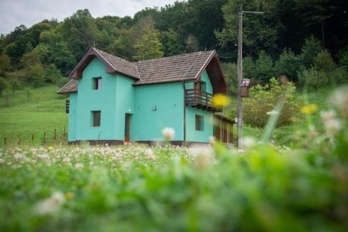 Rosia House | Pensiunea Green Roșia