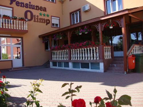 Arad House | Pensiunea Olimp