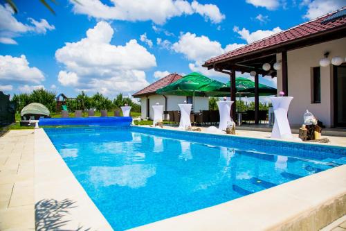 Viile Satu Mare House | Pensiunea Primaverii
