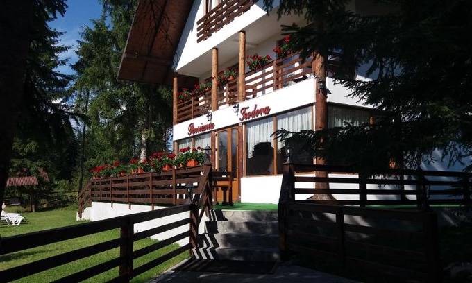 Ortoaia House | Pensiunea Teodora