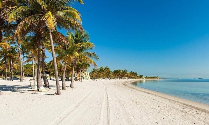 Key Biscayne Apartment | Perfect Beach Retreat! Spacious Suite w/King Bed, Living Room, Kitchen