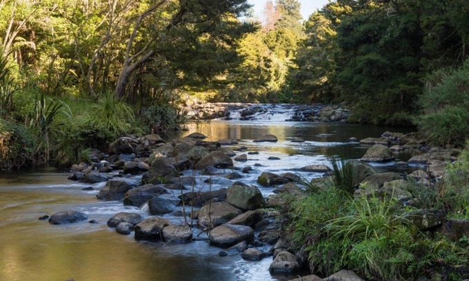 Kerikeri Cabin | Perfect for a big group and family ! PUKETOTARA LODGE KERIKERI!
