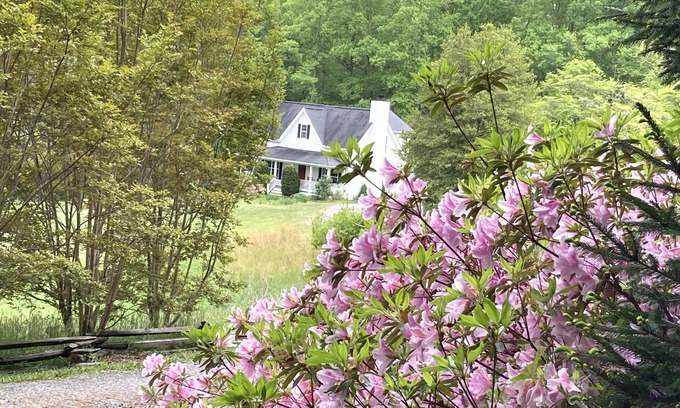 Fairview Other | Perfect Getaway to see Biltmore, Lake Lure, Black Mountain, Blue Ridge Parkway