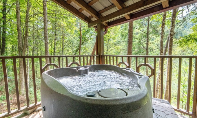 Townsend Cabin | Pet-friendly 1BD Cabin w/Hot Tub! Fire Pit + BBQ!