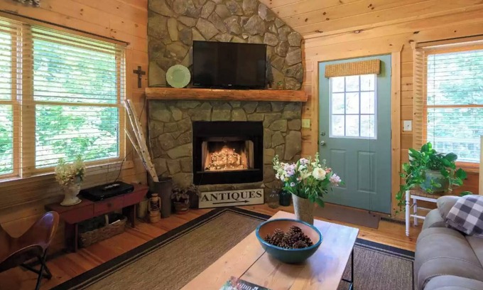 Mineral Bluff Cabin | Pet-friendly 2-bd cabin w/hot tub and fenced-in yard close to town
