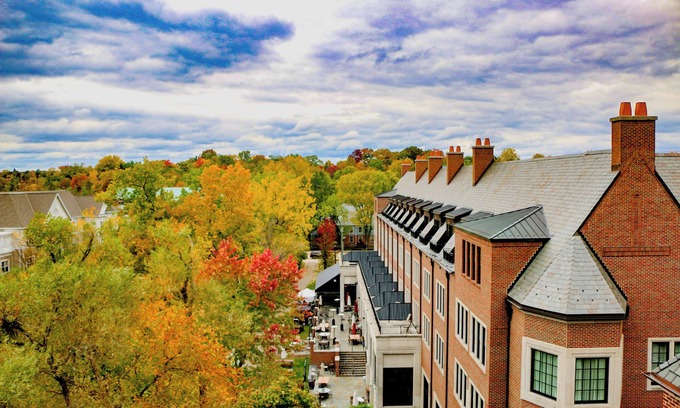 Rochester Hotel | Pet-friendly Accommodation with a Blend of Modern Comfort and Old-World Charm