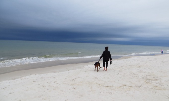 Port St. Joe House | Pet-Friendly Beach Retreat with Weekly Discounts for Your Relaxing Getaway!