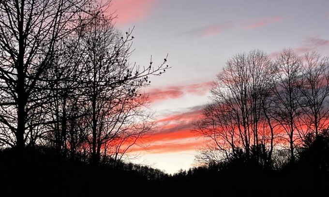 Suches Cabin | Pet Friendly Blue Ridge Mountain Cabin on the Toccoa River
