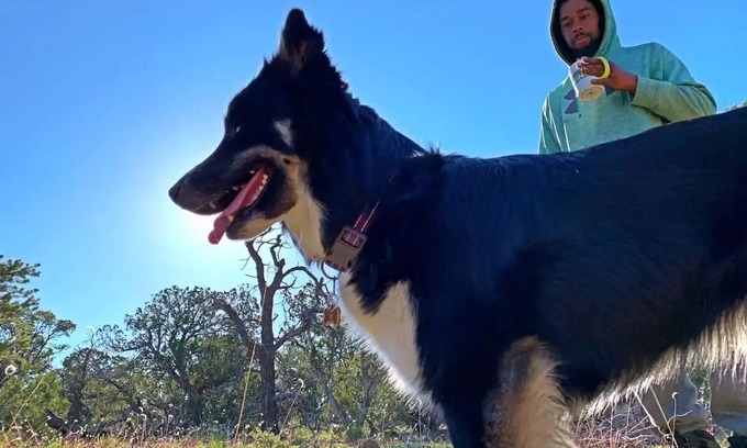 Quemado RV Rental | Pet-friendly camping in the mountainsnn
