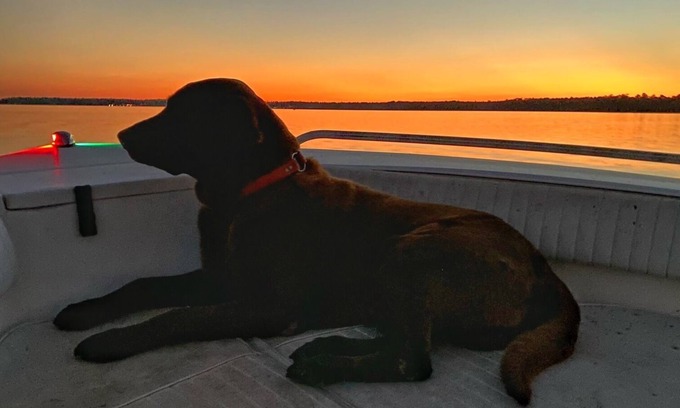 Alabama Gulf Coast House | Pet Friendly house on Fish River, private pier with kayaks