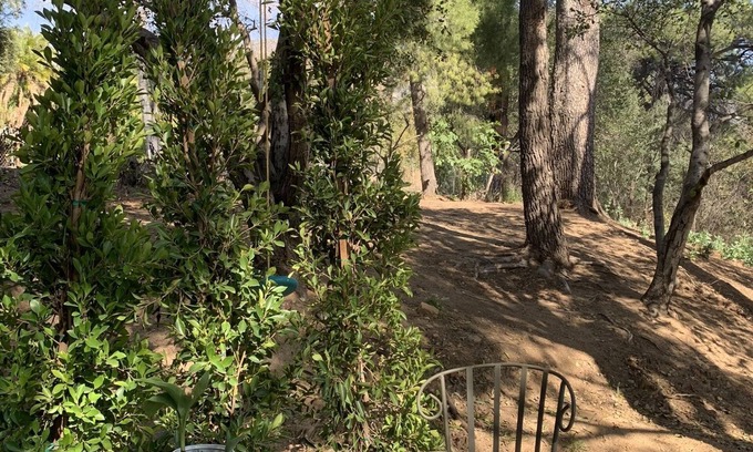 Altadena Cottage | Pet Friendly Private Cozy Casita on 2 acre Property